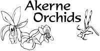 Akerne Orchids / Orchid Web bv
