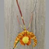 Psychopsis papilio