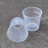 Transparent pots
