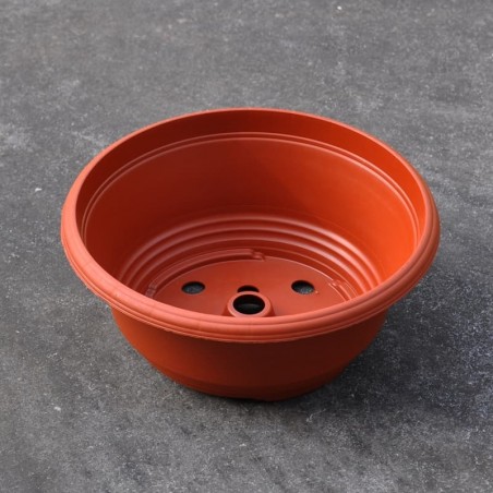 Bowls