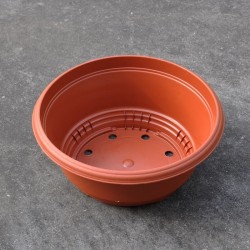 Schalen