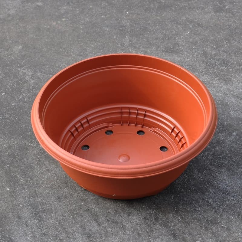Bowls
