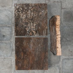 Korkrinde