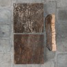 Cork oak